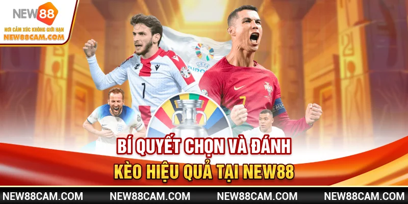 Bí quyết chọn và đánh kèo hiệu quả tại New88