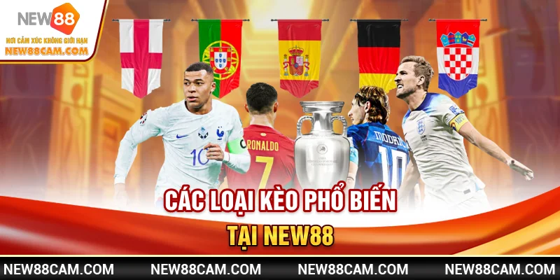 Các loại kèo phổ biến tại Thể Thao New88