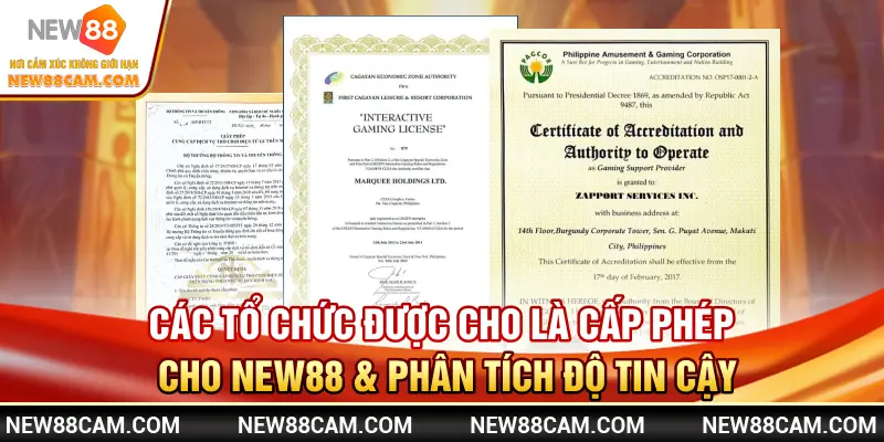 Các tổ chức được cho là cấp giấy phép New88 & phân tích độ tin cậy