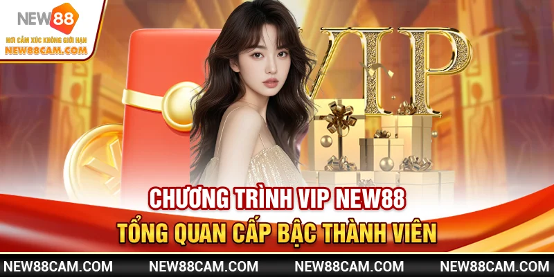 Vip New88 – Nâng cấp thành viên nhận thưởng độc quyền 2025 2 Phần thưởng & đặc quyền dành riêng cho thành viên VIP New88