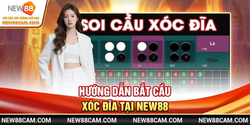 Xóc Đĩa New88: Hướng Dẫn Bắt Cầu & Chiến Thuật Thắng Lớn 2 Hướng dẫn bắt cầu Xóc Đĩa tại New88