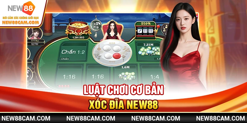 Xóc Đĩa New88: Hướng Dẫn Bắt Cầu & Chiến Thuật Thắng Lớn 1 Luật chơi cơ bản Xóc Đĩa New88